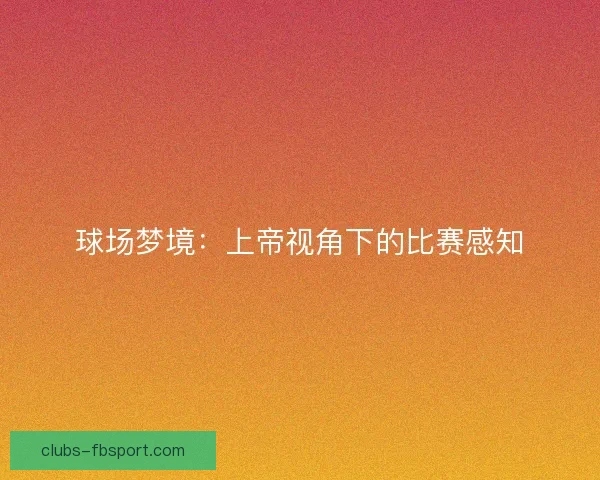 球场梦境:上帝视角下的比赛感知 球场梦境:上帝视角下的比赛感知